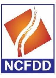 NCFDD Discussion Panel: "What I Wished I Would Have Known After Earning Tenure"